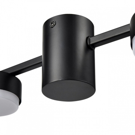 Фото Накладной светильник Lumion Sanata 8187/6C