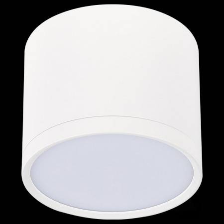 Фото Накладной светильник ST-Luce Rene ST113.542.09