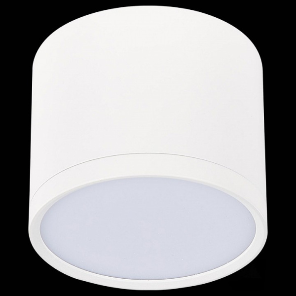 Фото Накладной светильник ST-Luce Rene ST113.542.09