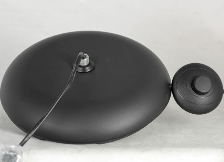 Фото Торшер Lussole Flagstaff LSP-0629