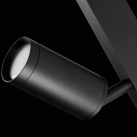 Фото Светильник на штанге Lightstar Teta 205027R