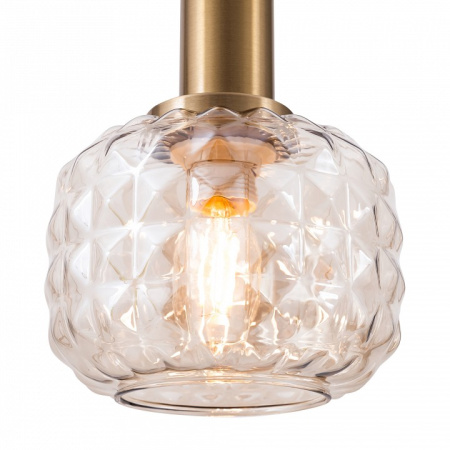 Фото Подвесной светильник Freya Fero FR5366PL-01BS