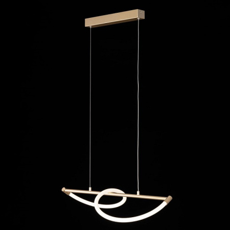 Фото Подвесной светильник Citilux Eva CL210112