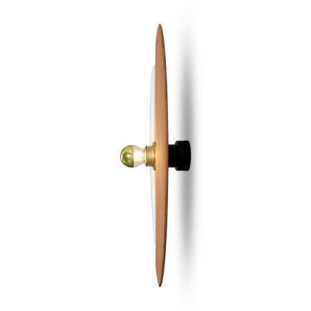 Фото Накладной светильник Freya Carry FR5487WL-01G2