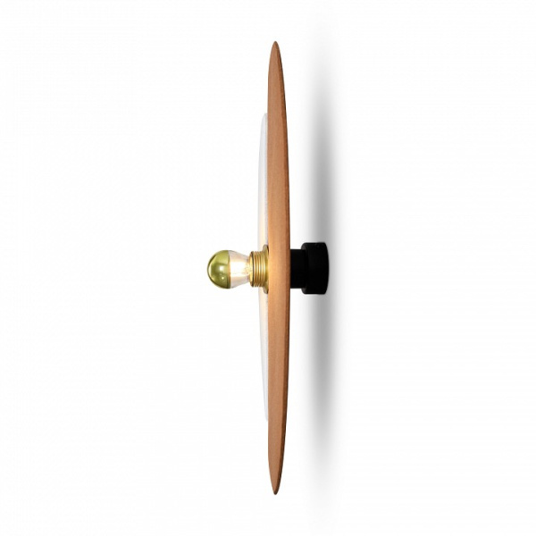 Фото Накладной светильник Freya Carry FR5487WL-01G2