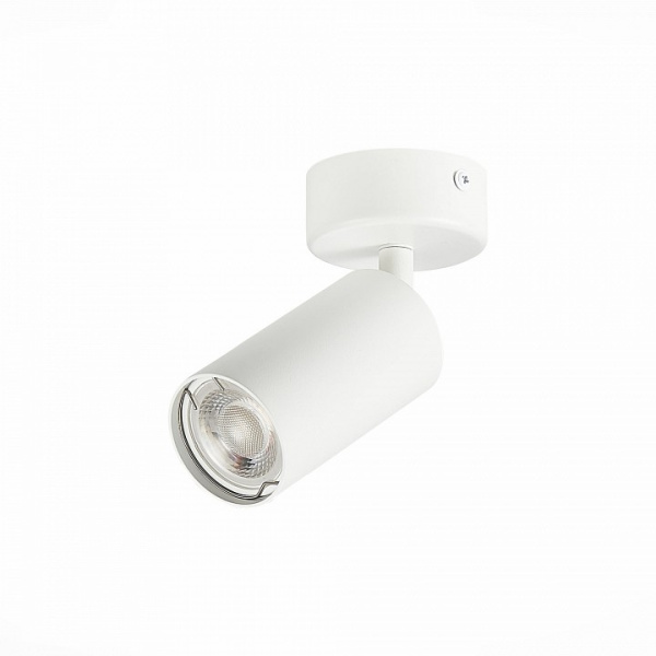 Фото Спот ST-Luce Dario ST303.502.01