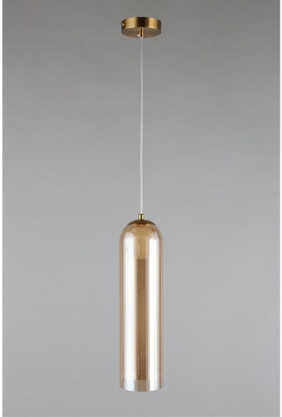 Фото Подвесной светильник Aployt Arian APL.325.26.01