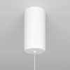Фото Подвесной светильник Maytoni Ray P022PL-L10W