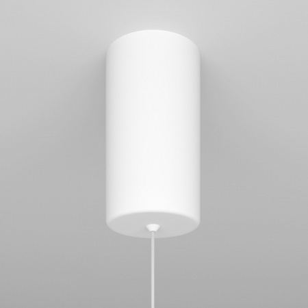 Фото Подвесной светильник Maytoni Ray P022PL-L10W