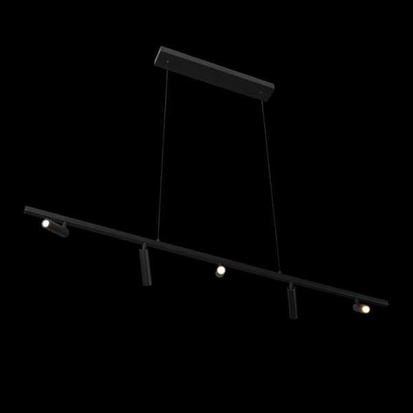 Фото Подвесной светильник Loft it Sign 10260/5 Black
