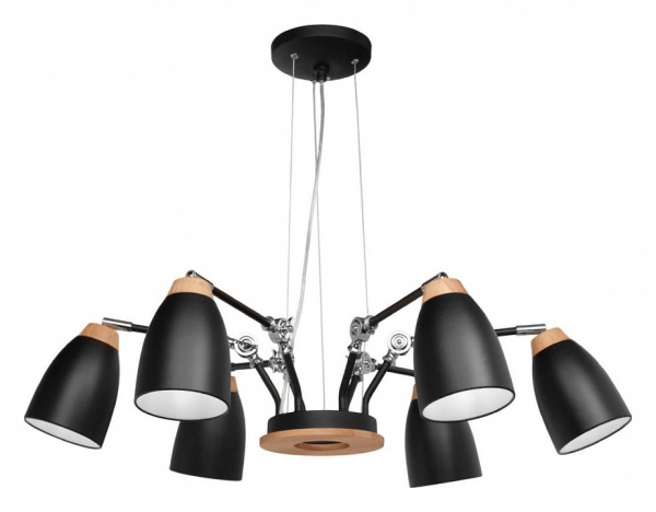 Фото Подвесная люстра Loft it Watchman LOFT4402/6BL