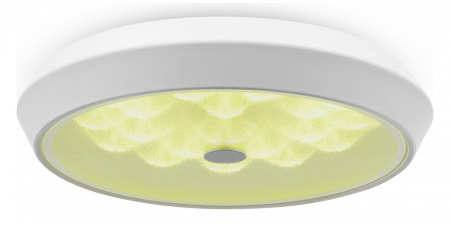 Фото Накладной светильник Freya Cells FR10012CL-L24W