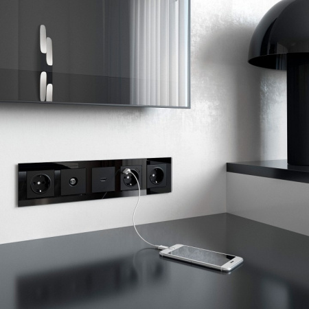 Фото ТВ-розетка оконечная без рамки Werkel черный матовый W1183008