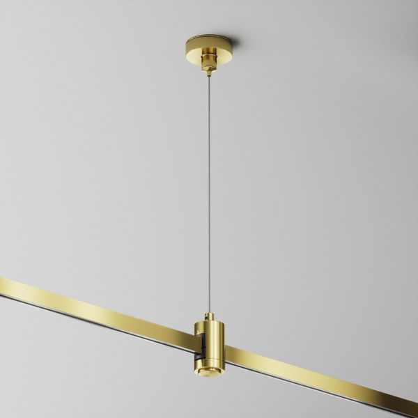 Фото Подвес для трека Maytoni Accessories for tracks Flarity TRA157SW-S1-BS