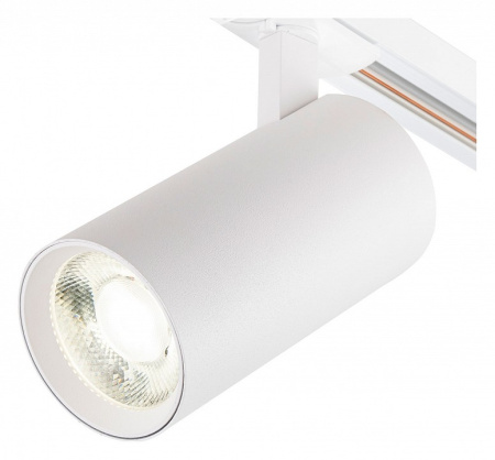 Фото Светильник на штанге Escada 20002 20002TRA/01LED SWH