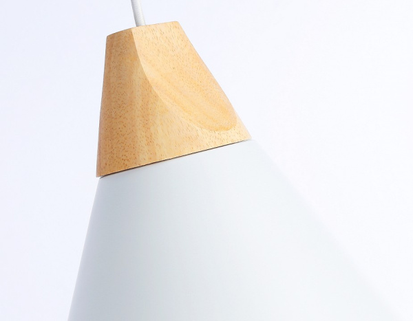 Фото Подвесной светильник Ambrella Light TR TR8195