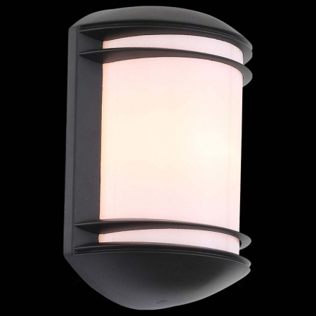 Фото Накладной светильник ST-Luce Agio SL076.401.01