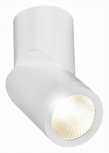 Фото Светильник на штанге ST-Luce ST650 ST650.532.10