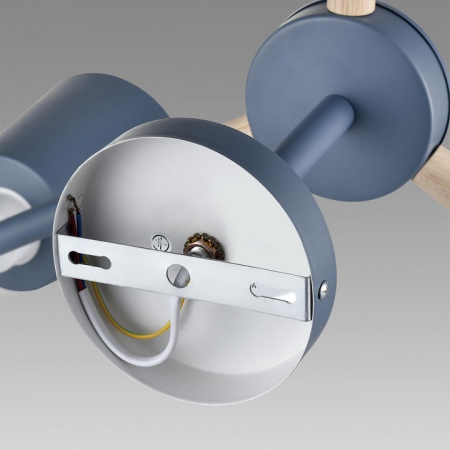 Фото Люстра на штанге Lumion Rosalina 8098/6C