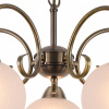 Открыть Подвесная люстра Arte Lamp Margo A9317LM-5AB Фото Подвесная люстра Arte Lamp Margo A9317LM-5AB
