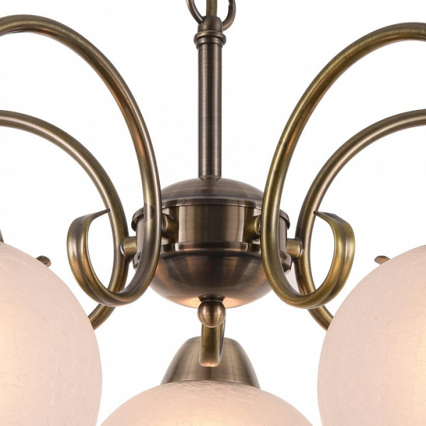 Открыть Подвесная люстра Arte Lamp Margo A9317LM-5AB Фото Подвесная люстра Arte Lamp Margo A9317LM-5AB