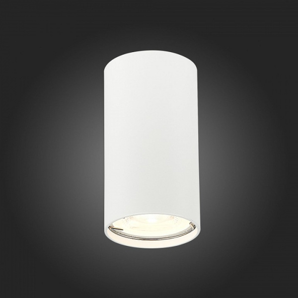 Фото Накладной светильник ST-Luce Simplus ST110.507.01