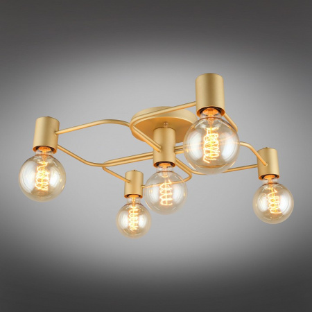 Фото Потолочная люстра Aployt Elison APL.911.07.05