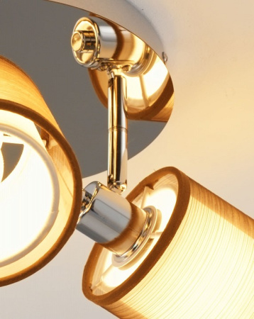 Фото Потолочная люстра Moderli Room V10627-3C