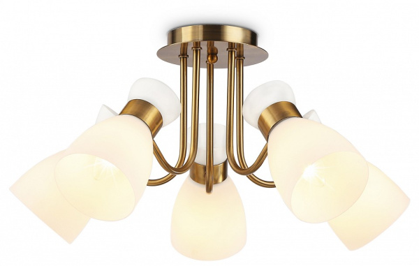 Фото Потолочная люстра Ambrella Light TR TR3218