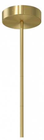 Фото Люстра на штанге Maytoni Axis MOD106CL-L40G3K