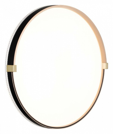 Фото Накладной светильник Sonex Olidi Black 7647/DL