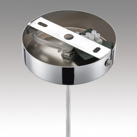 Фото Подвесной светильник Lumion Gallo 8067/1A