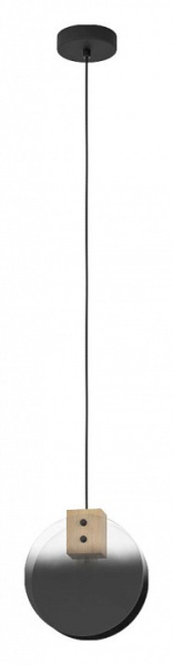 Фото Подвесной светильник Eglo Millena 390141