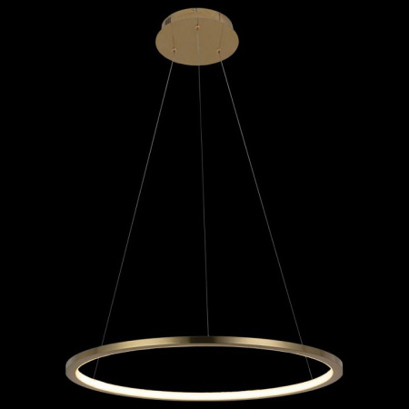 Фото Подвесной светильник Loft it Ring 10014M