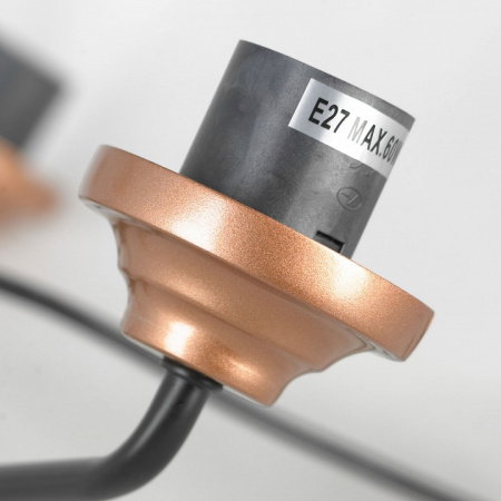 Фото Подвесная люстра Lussole Fishers LSP-8800