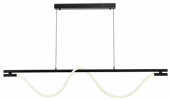 Фото Подвесной светильник Moderli True V10678-PL