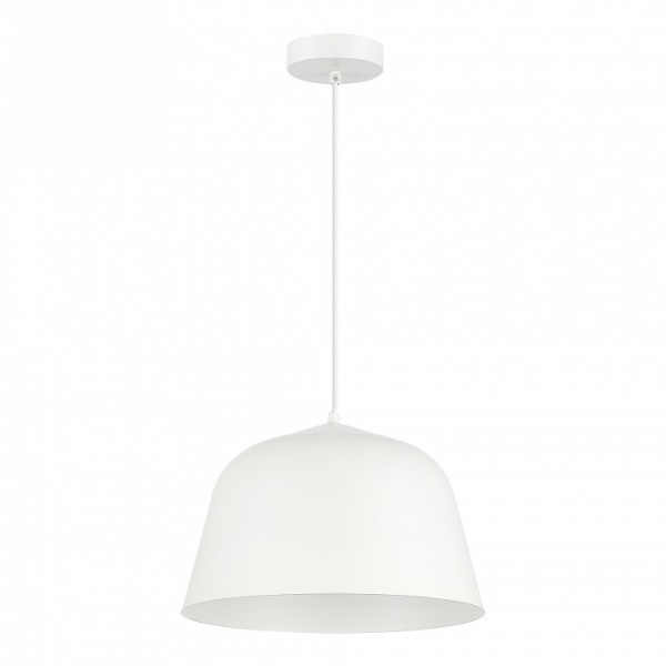 Фото Подвесной светильник EVOLUCE Blank SLE1805-503-01