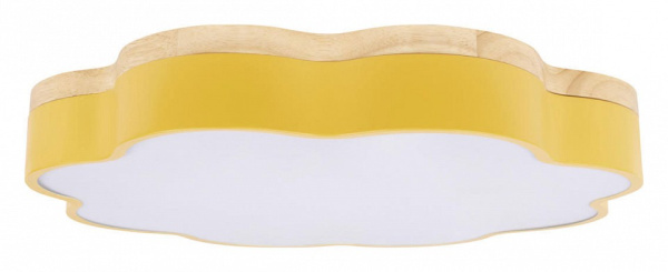 Фото Накладной светильник Loft it Axel 10225/36 Yellow