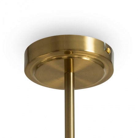 Фото Люстра на штанге Freya Tender FR5373CL-08BS