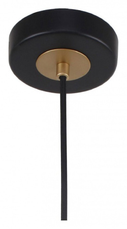 Фото Подвесной светильник F-promo Rigor 2844-1P