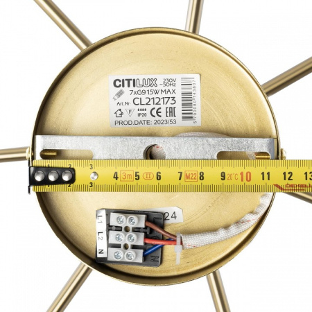 Фото Люстра на штанге Citilux Tonga CL212173