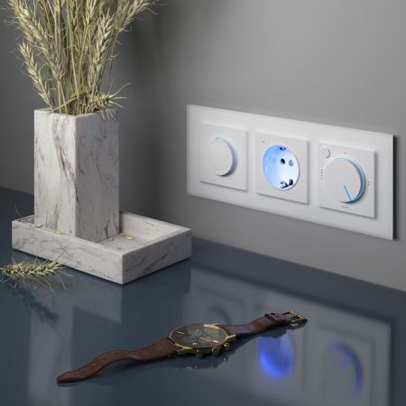 Фото Розетка с заземлением, без рамки Werkel белый W1171401