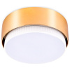 Накладной светильник Ambrella Light G G102 GD Накладной светильник Ambrella Light G G102 GD