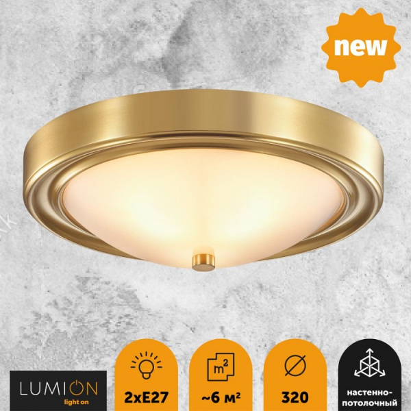 Фото Накладной светильник Lumion Nina 5259/2C