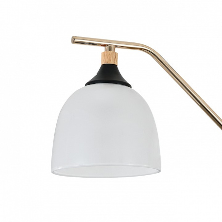 Фото Подвесная люстра Escada Actinidia 2123/3P