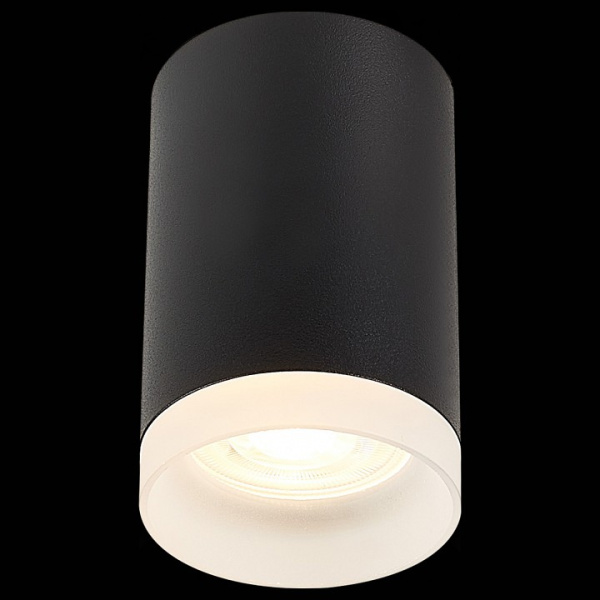 Фото Накладной светильник ST-Luce ST100 ST100.402.01