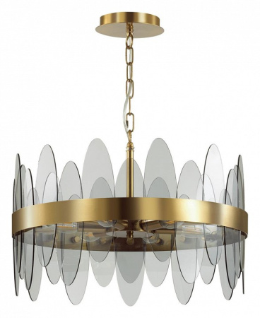 Фото Подвесной светильник Lumion Meredith 5268/6