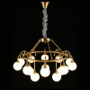 Фото Подвесная люстра Aployt Eloiz APL.839.03.15
