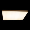 Открыть Накладной светильник Loft it Flims 10228/E Фото Накладной светильник Loft it Flims 10228/E
