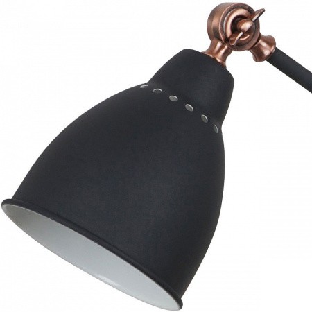 Фото Настольная лампа офисная Arte Lamp Braccio A2054LT-1BK